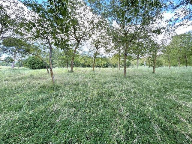 Terreno in vendita a Fontanarosa AV