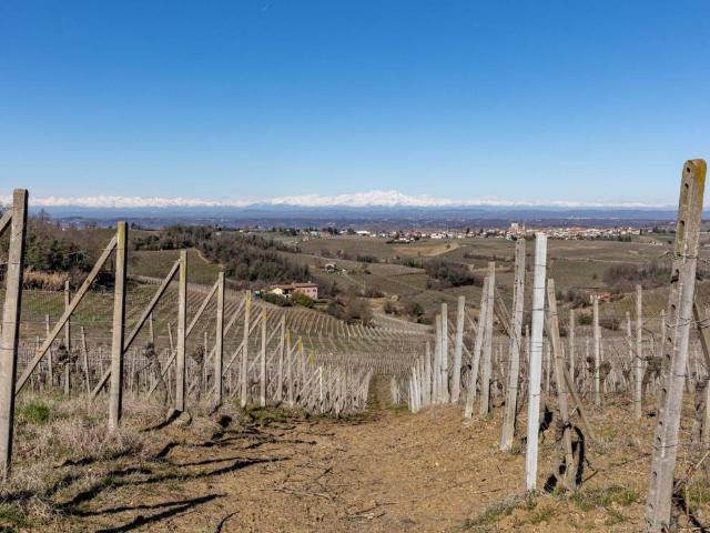 Terreno in vendita a Fontanile AT