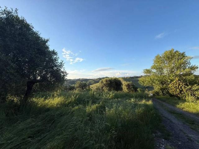 Terreno in vendita a Fonte Nuova RM