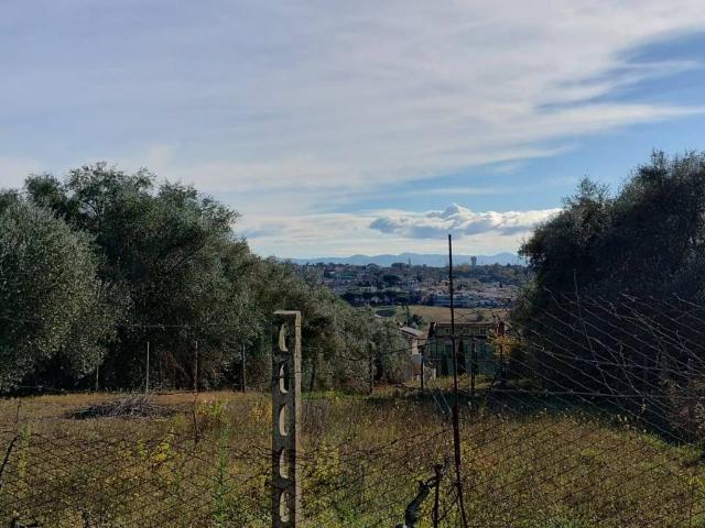 Terreno in vendita a Fonte Nuova RM