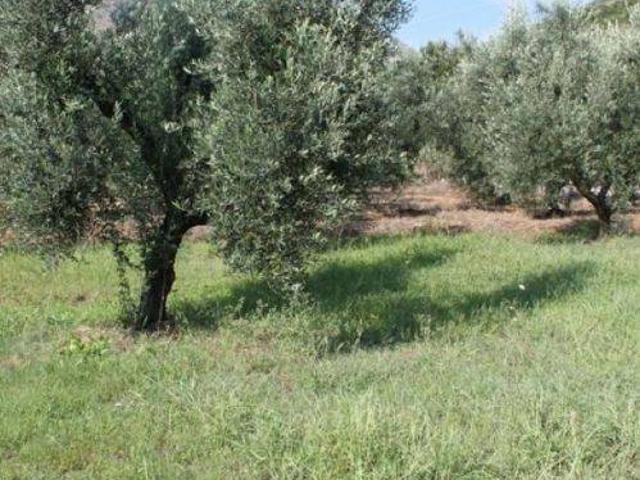 Terreno in vendita a Fondi LT