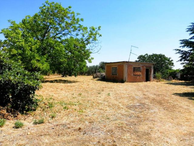 Terreno in vendita a Foggia FG