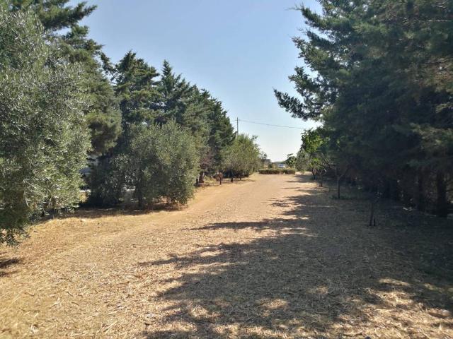 Terreno in vendita a Foggia FG