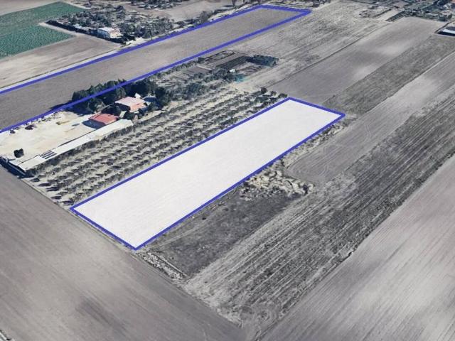 Terreno in vendita a Foggia FG