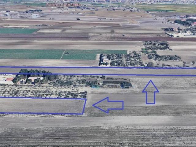 Terreno in vendita a Foggia FG