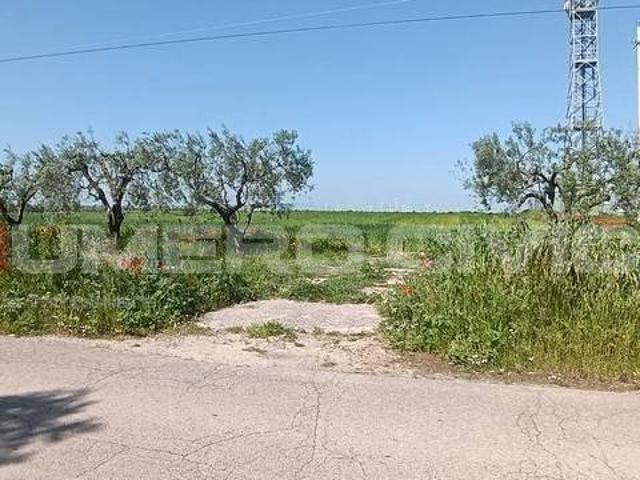Terreno in vendita a Foggia FG