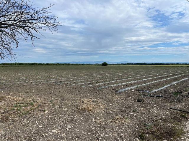 Terreno in vendita a Foggia FG