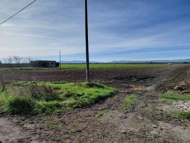 Terreno in vendita a Foggia FG