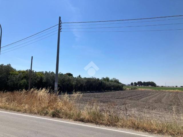 Terreno in vendita a Foggia FG