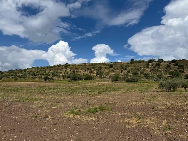 Terreno in vendita a Foggia FG
