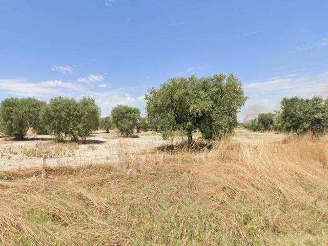 Terreno in vendita a Foggia FG
