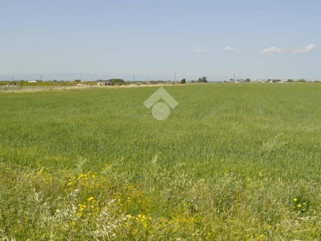 Terreno in vendita a Foggia FG