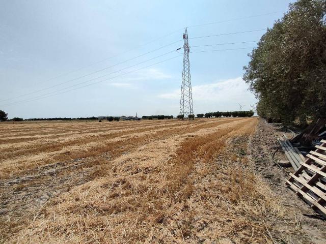 Terreno in vendita a Foggia FG