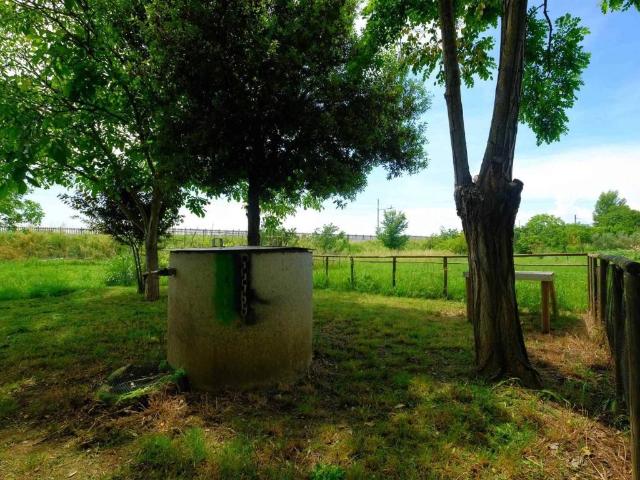 Terreno in vendita a Foiano della Chiana AR