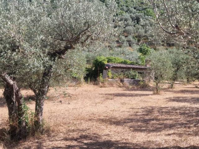 Terreno in vendita a Foligno PG