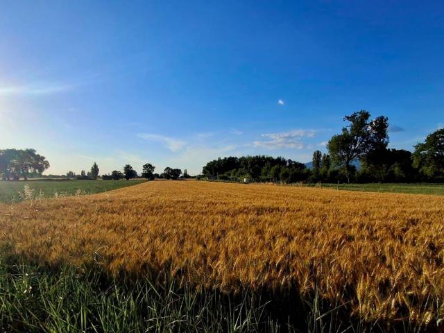 Terreno in vendita a Foligno PG