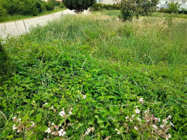 Terreno in vendita a Foligno PG