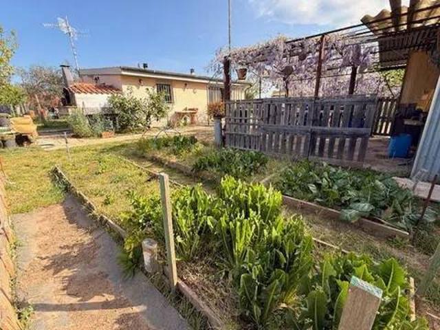 Terreno in vendita a Follonica GR