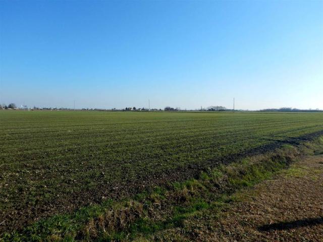 Terreno in vendita a Follonica GR