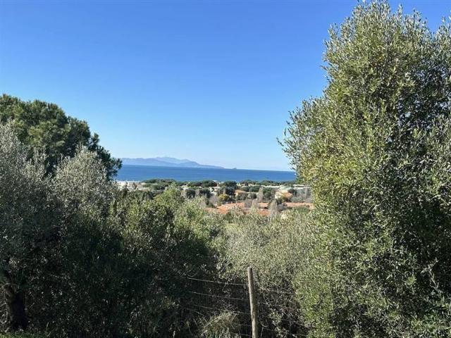 Terreno in vendita a Follonica GR