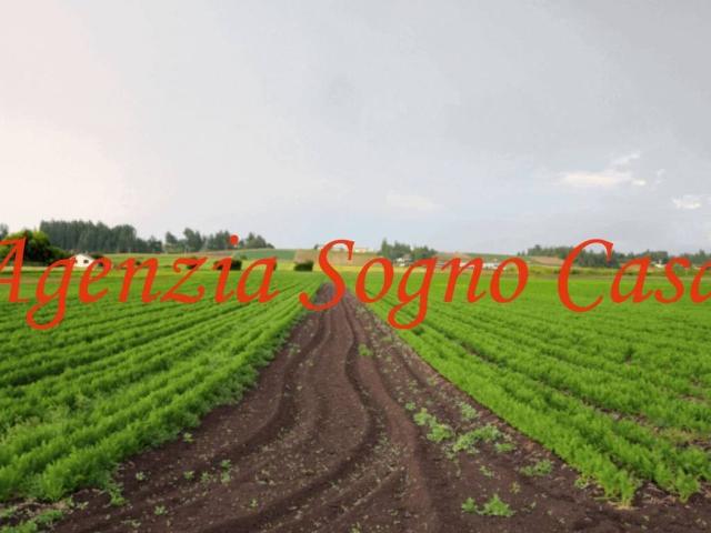 Terreno in vendita a Forlì FC