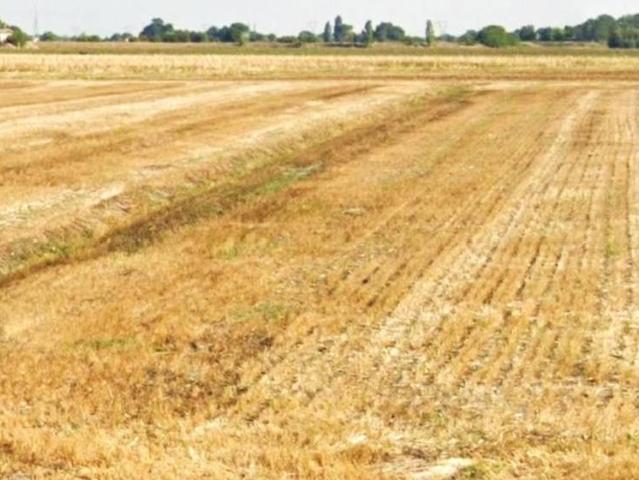 Terreno in vendita a Forlì FC