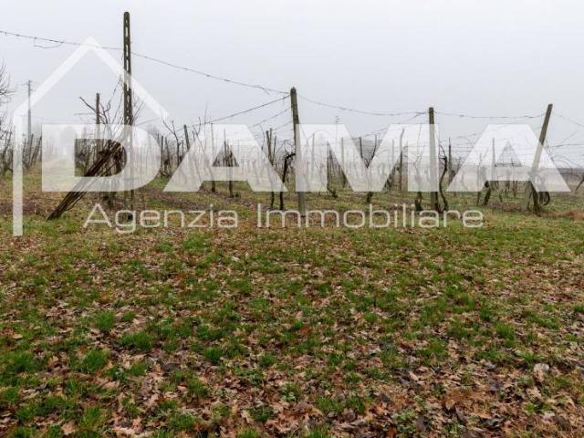 Terreno in vendita a Forlì FC