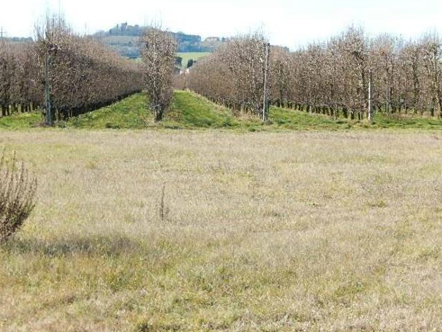 Terreno in vendita a Forlì FC