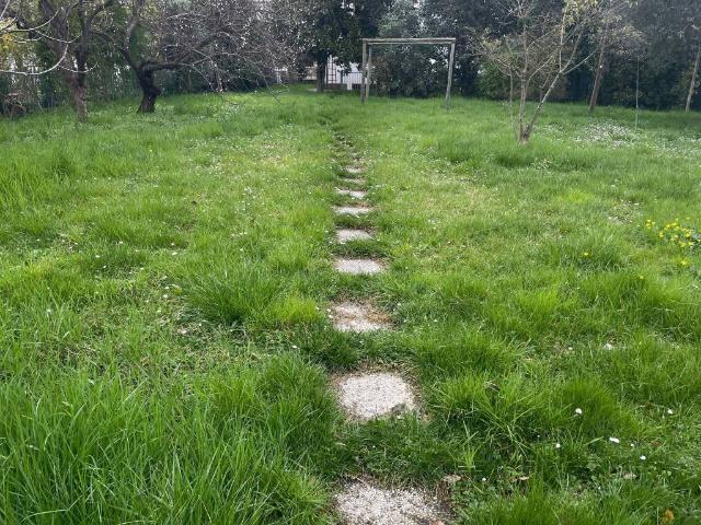 Terreno in vendita a Forlì FC
