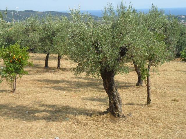 Terreno in vendita a Formia LT