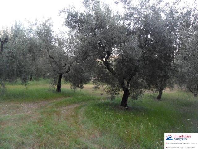 Terreno in vendita a Formia LT