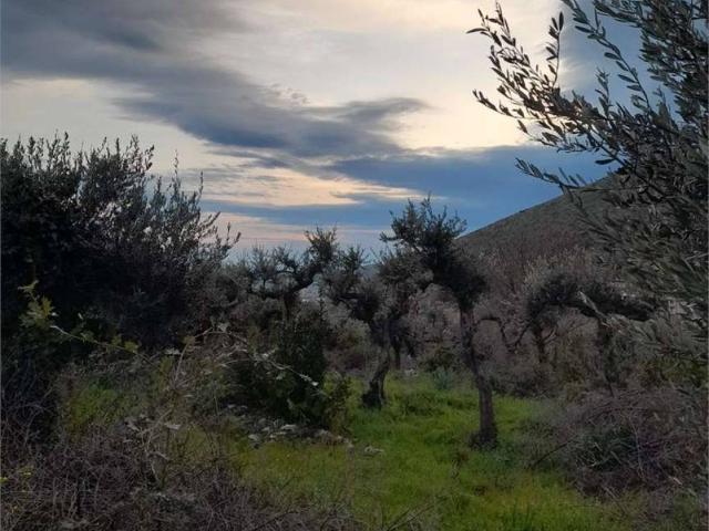 Terreno in vendita a Formia LT