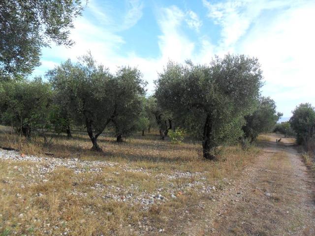 Terreno in vendita a Formia LT