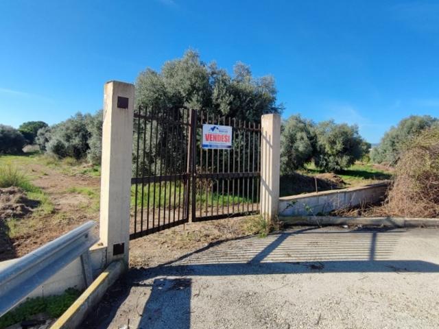 Terreno in vendita a Floridia