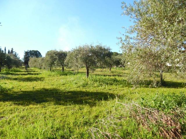 Terreno in vendita a Floridia SR