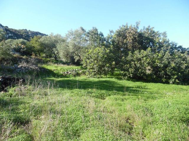 Terreno in vendita a Floridia SR