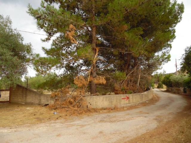 Terreno in vendita a Floridia SR
