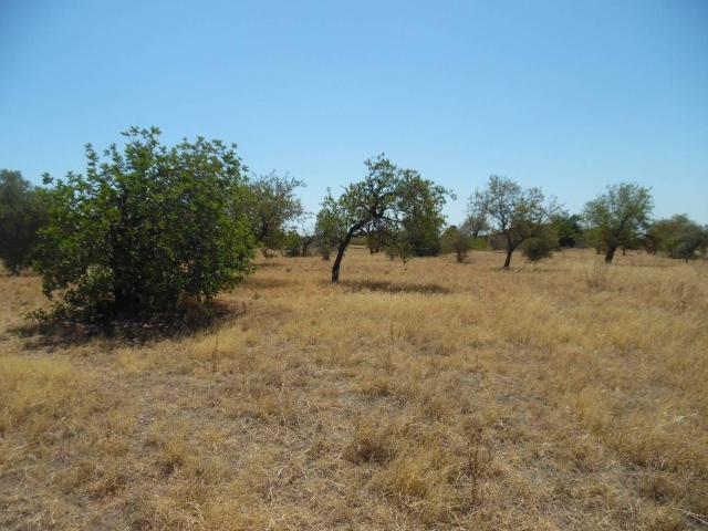 Terreno in vendita a Floridia SR
