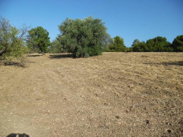 Terreno in vendita a Floridia SR