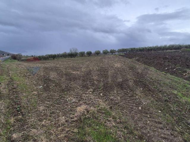 Terreno in vendita a Flumeri AV
