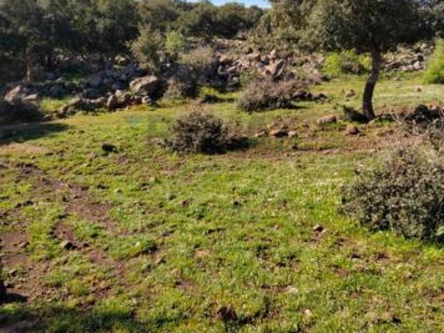 Terreno in vendita a Francofonte