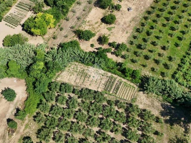 Terreno in vendita a Francavilla al Mare CH