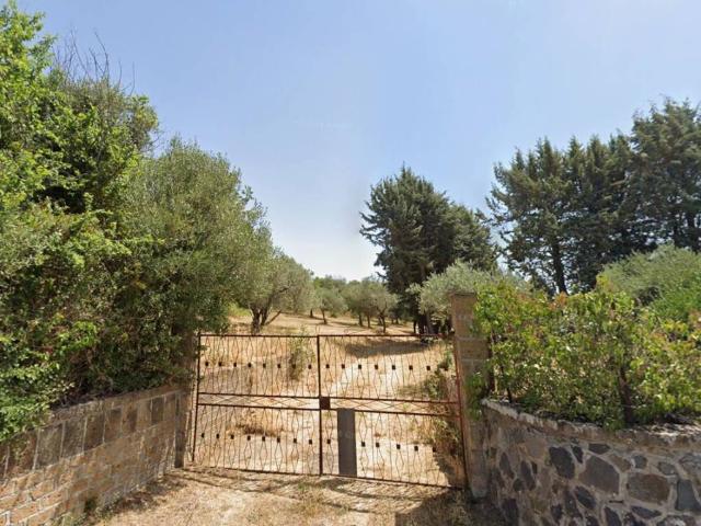 Terreno in vendita a Frascati RM