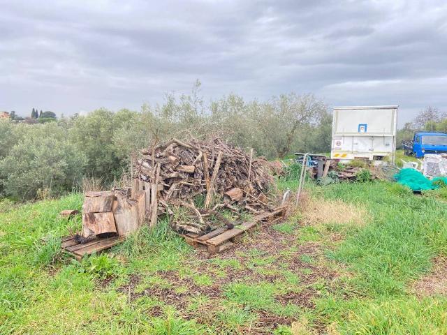 Terreno in vendita a Frascati RM