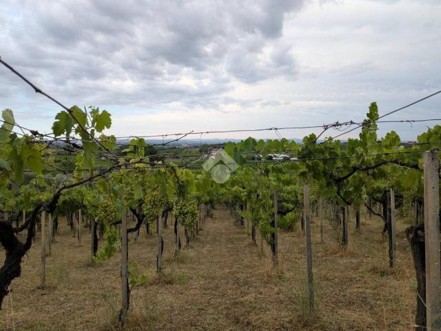 Terreno in vendita a Frascati RM