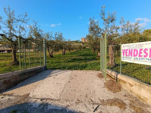 Terreno in vendita a Frascati RM
