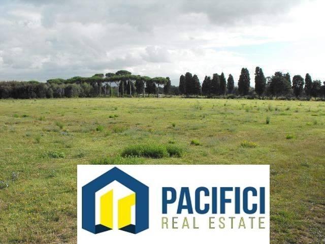 Terreno in vendita a Frascati RM