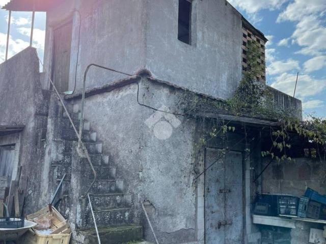Terreno in vendita a Frascati RM