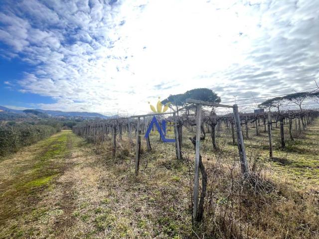 Terreno in vendita a Frascati RM