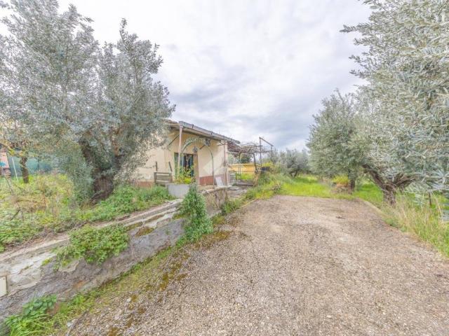 Terreno in vendita a Frascati RM